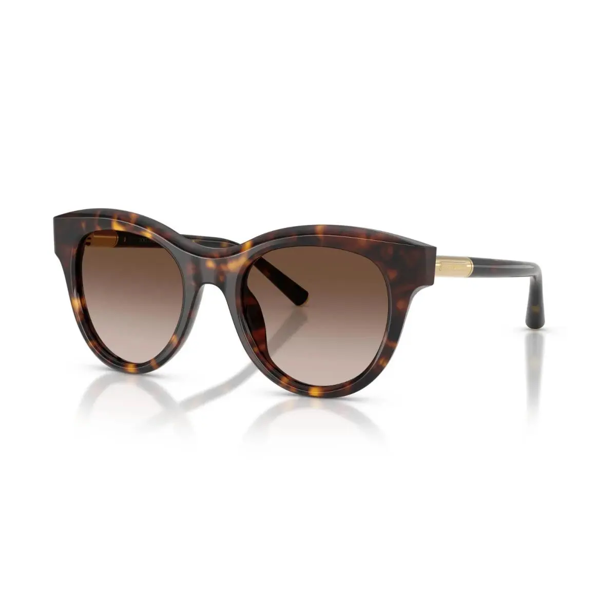 Dolce Gabbana DG 4518 Havana/brown Shaded 502/13 Sunglasses
