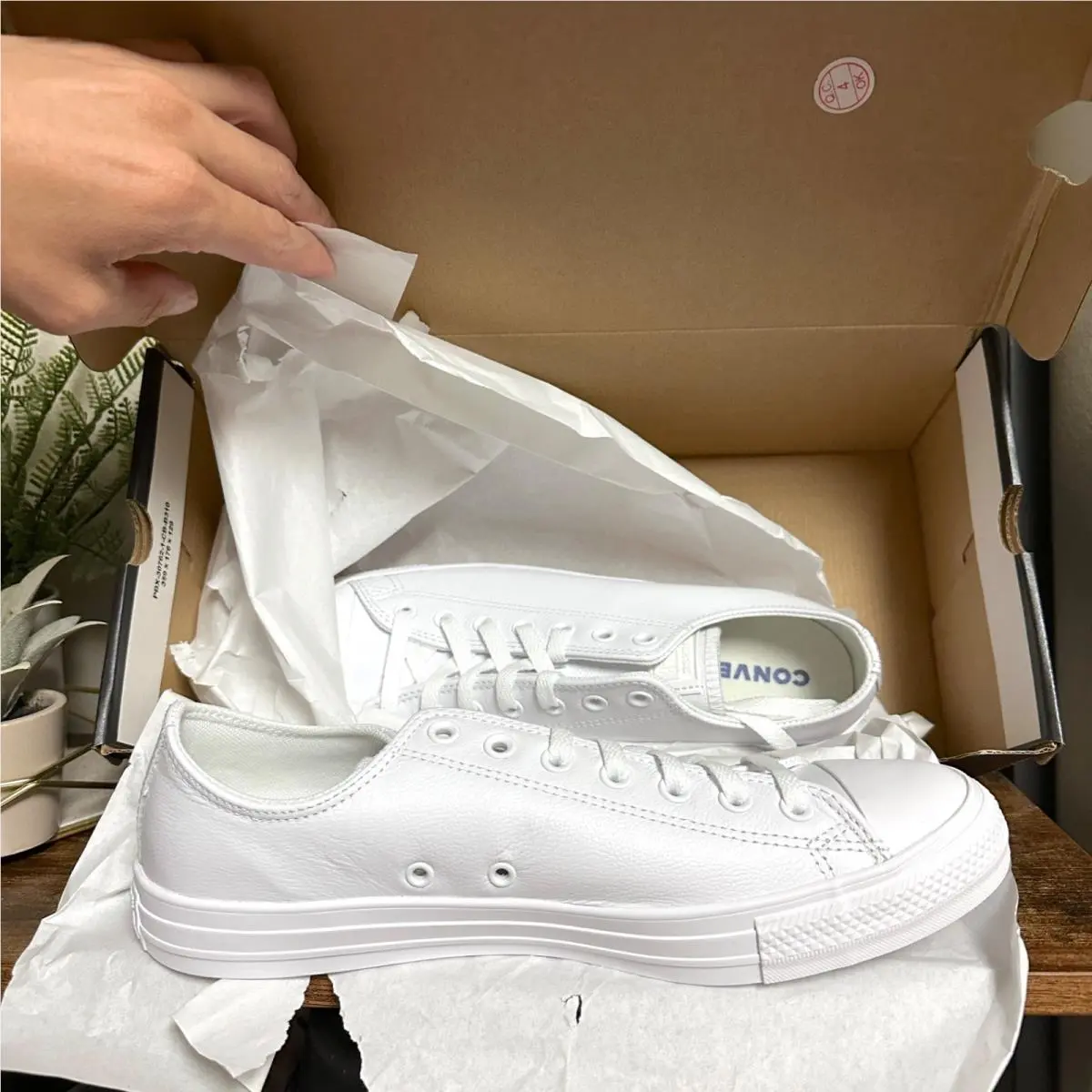 Converse shoes - Converse Chuck Taylor All Star Leather Low - 136823C - White 0