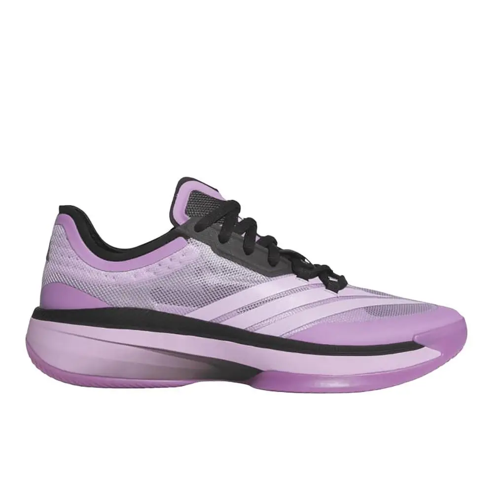 Adidas Adizero Select 3.0 Basketball Mens Purple Sneakers Athletic Shoes JR8274