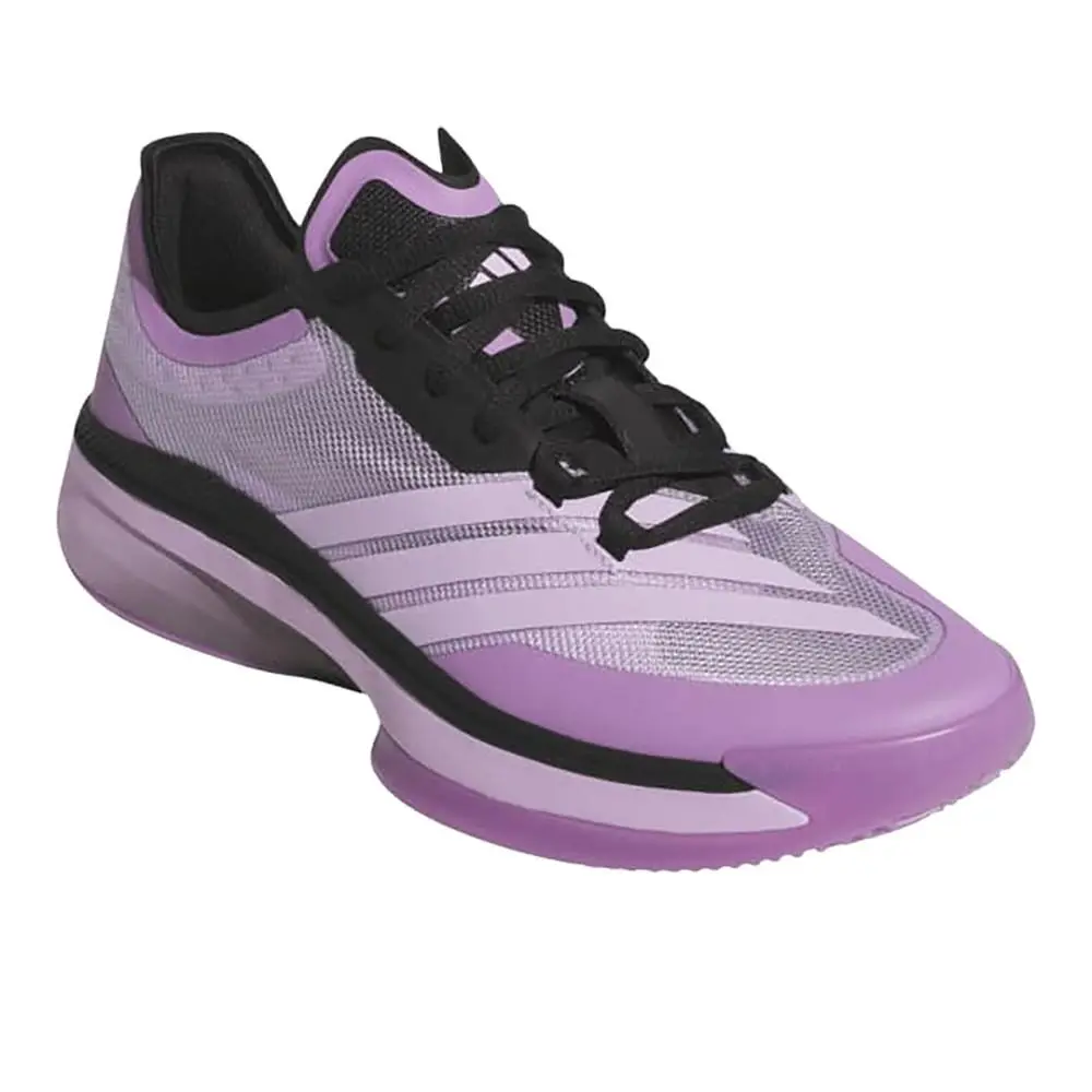 Adidas shoes - adidas Adizero Select 3.0 Basketball - JR8274 - Purple 8