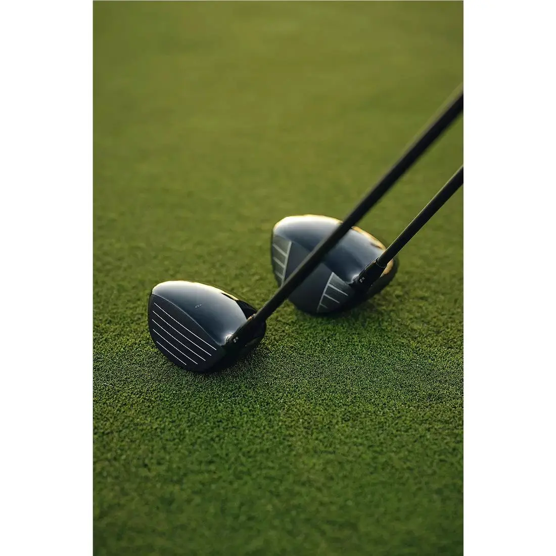 Titleist  18