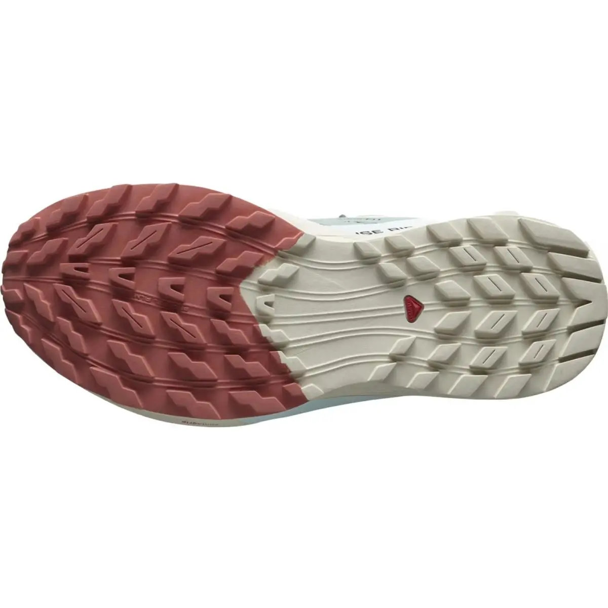 Salomon shoes - Sense Ride 5 - Sense Ride - Multicolor (UPC: 195751231466) 2