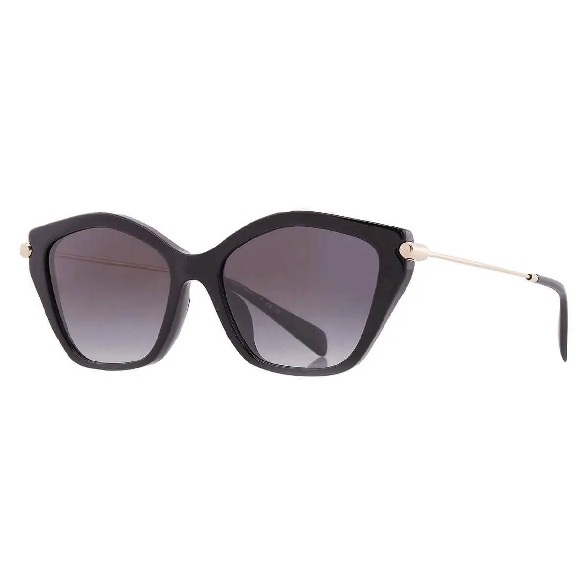 Michael Kors Catskills Dark Gray Gradient Butterfly Ladies Sunglasses MK2246U