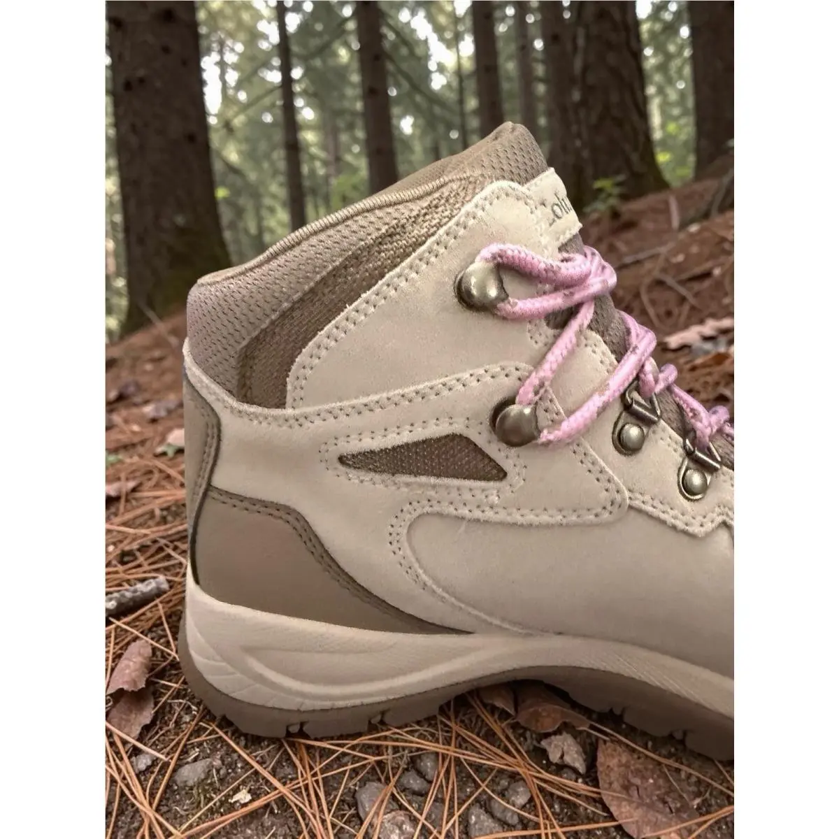 Columbia shoes - Columbia Newton Ridge Plus - Newton Ridge Plus - Gray (UPC: 195981616989) 2