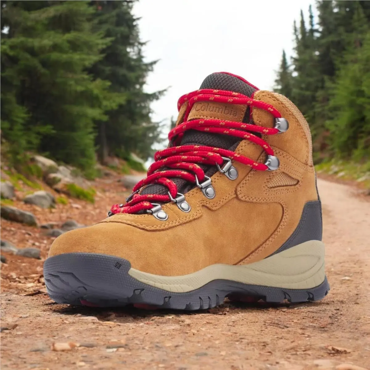 Columbia shoes - COLUMBIA Newton Ridge Plus - Newton Ridge Plus - Chestnut Brown (UPC: 190178485645) 6