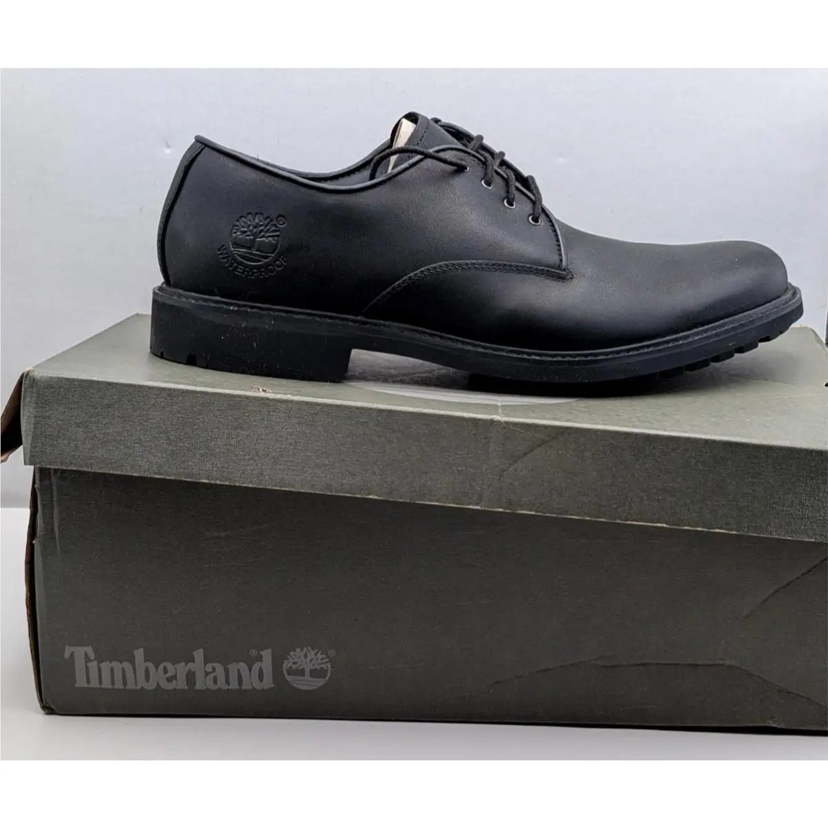 Timberland Men`s Stormbuck Plain Toe Waterproof Oxford Lace Up Shoes- US 9