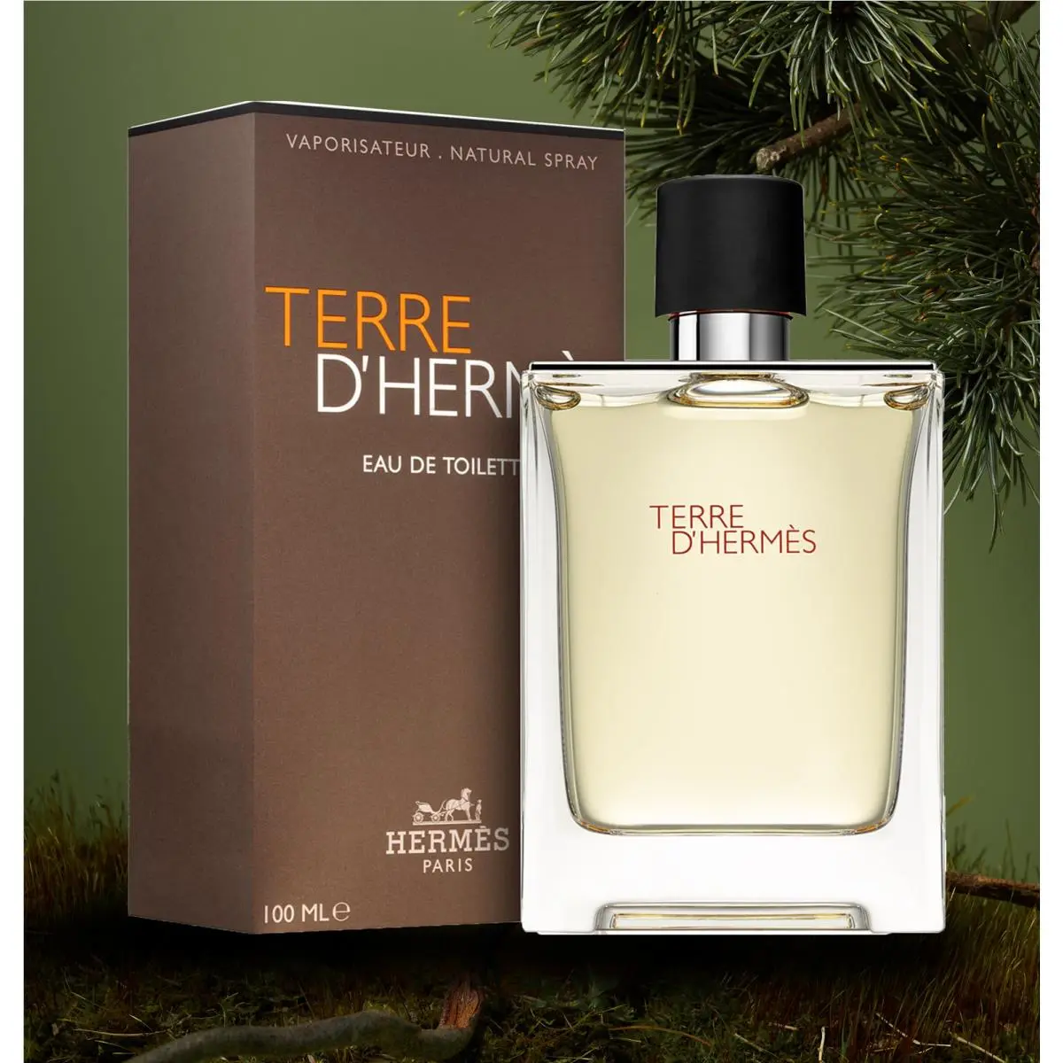 Terre D`hermes By Hermes Eau De Toilette For Men 3.4oz/100ml