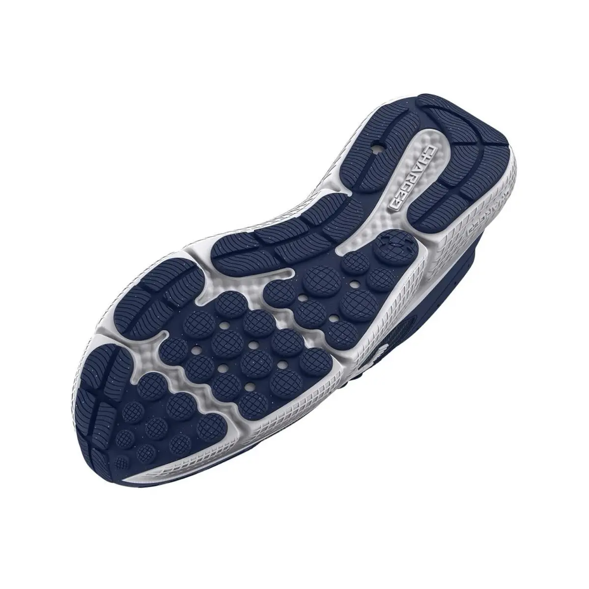 Under Armour shoes - Under Armour Charged Assert 10 - ACADEMY/ACADEMY/WHITE 3