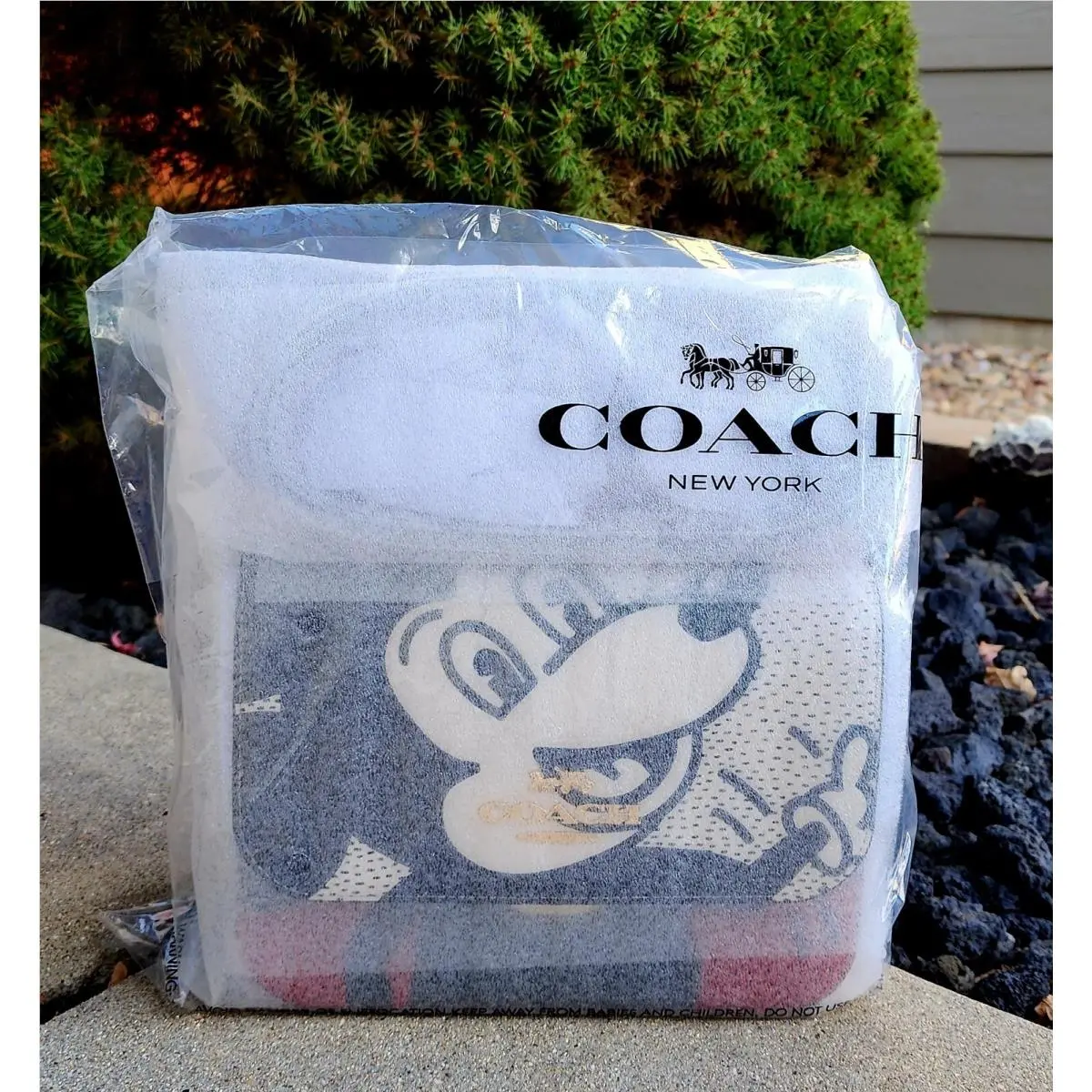Guaranteed Coach Disney Mickey Mouse X Keith Haring Brynn Crossbody 6974