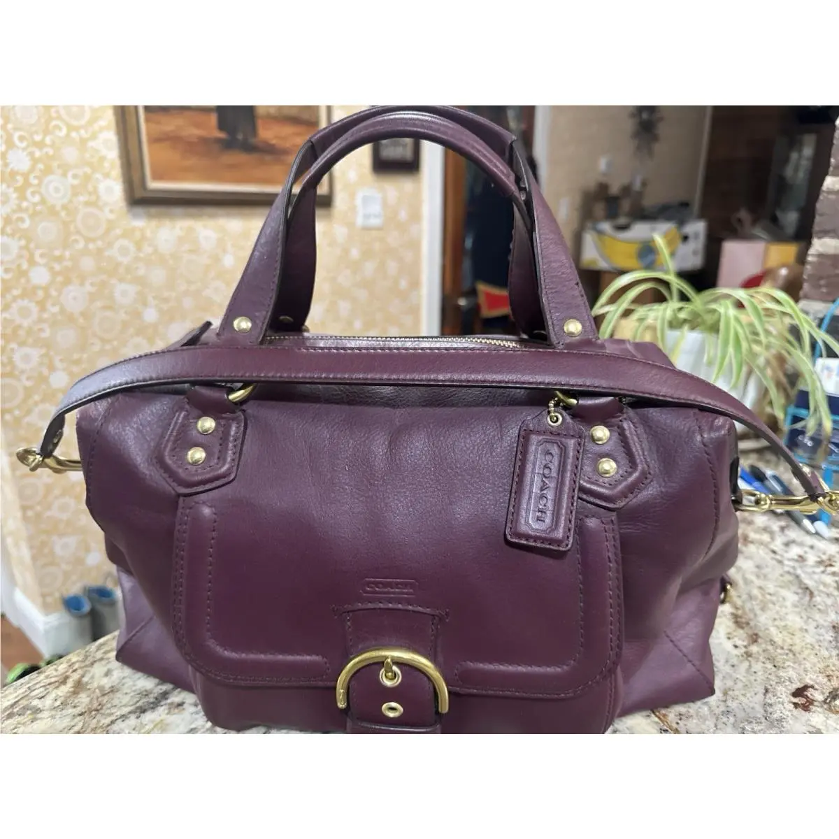 Coach Handbag Blum Color Coach Handbag/gold Trim J1378-f25151