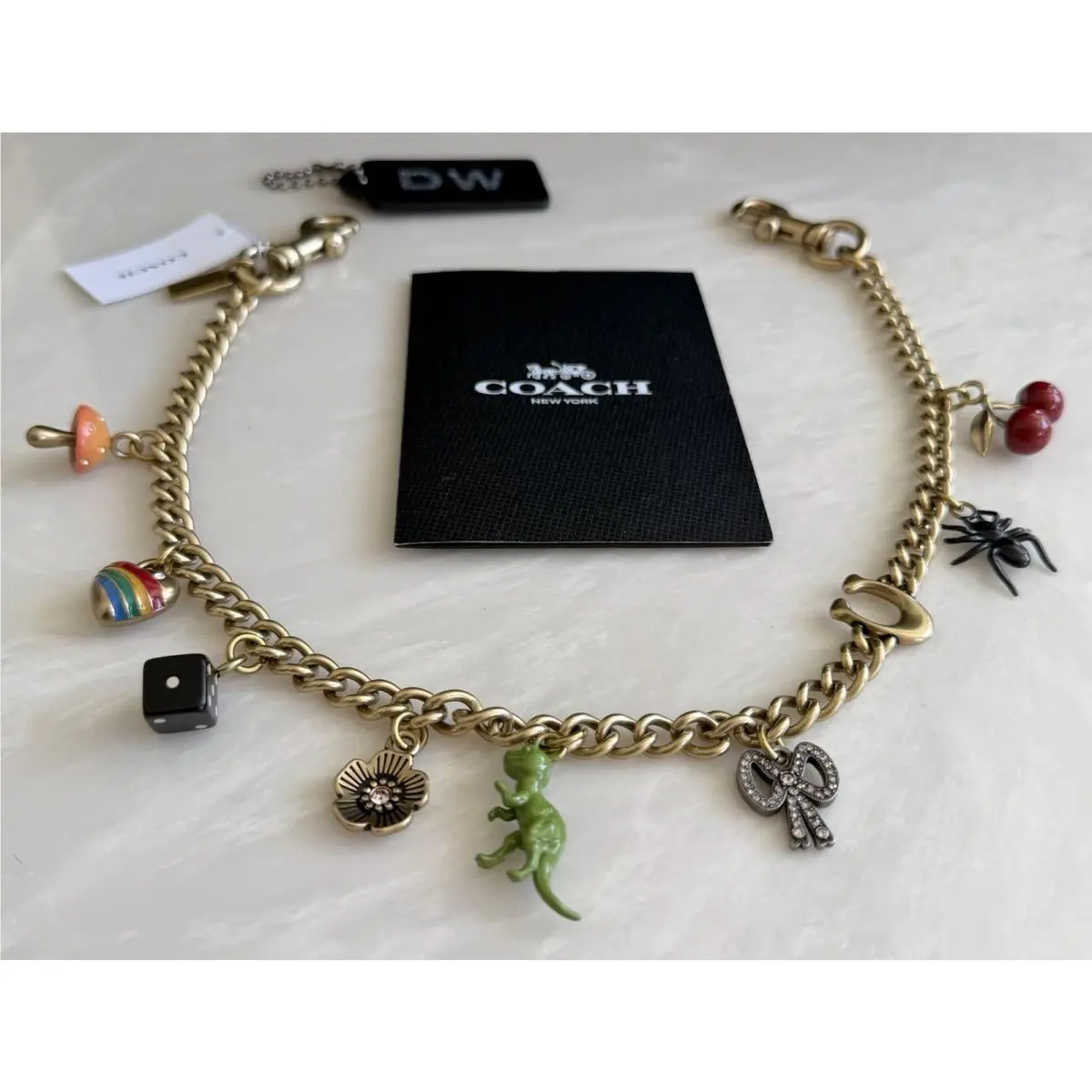 Coach Gold Brass Chain Strap with Charms CCD30