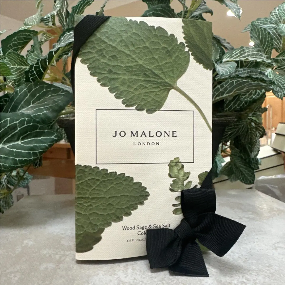 Jo Malone Wild Sage Sea Salt Cologne Spray 3.4 fl oz / 100 ml
