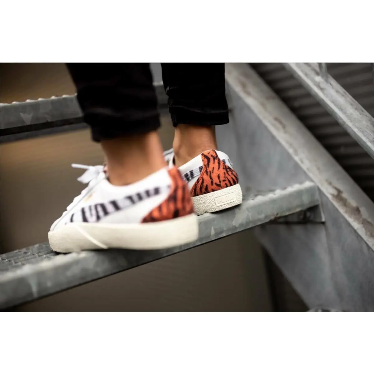 Puma shoes - Puma Love Wildcats - Love Wildcats - Puma White, Pale Khaki 3