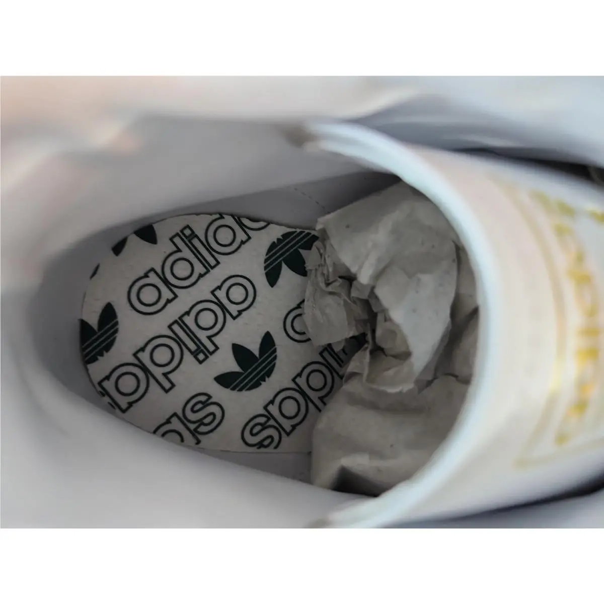 Adidas shoes - adidas Jabbar - Jabbar - White 7