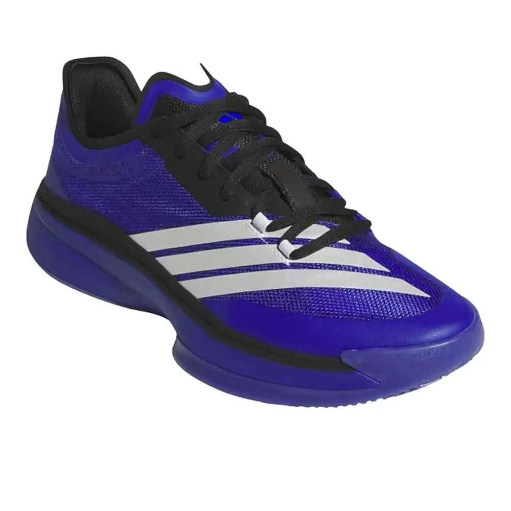 Adidas shoes - adidas Adizero Select 3.0 Basketball - JR8272 - Blue (UPC: 197619483352) 0