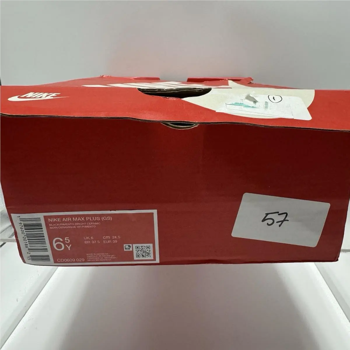 Nike shoes - Nike Air Max Plus - Air Max Plus - Multicolor 10