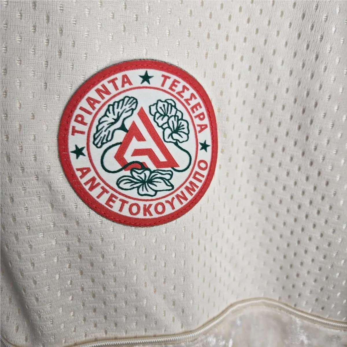 Nike clothing - FB6992-110 - FB6992-110 - Ivory (UPC: 196968919567) 4