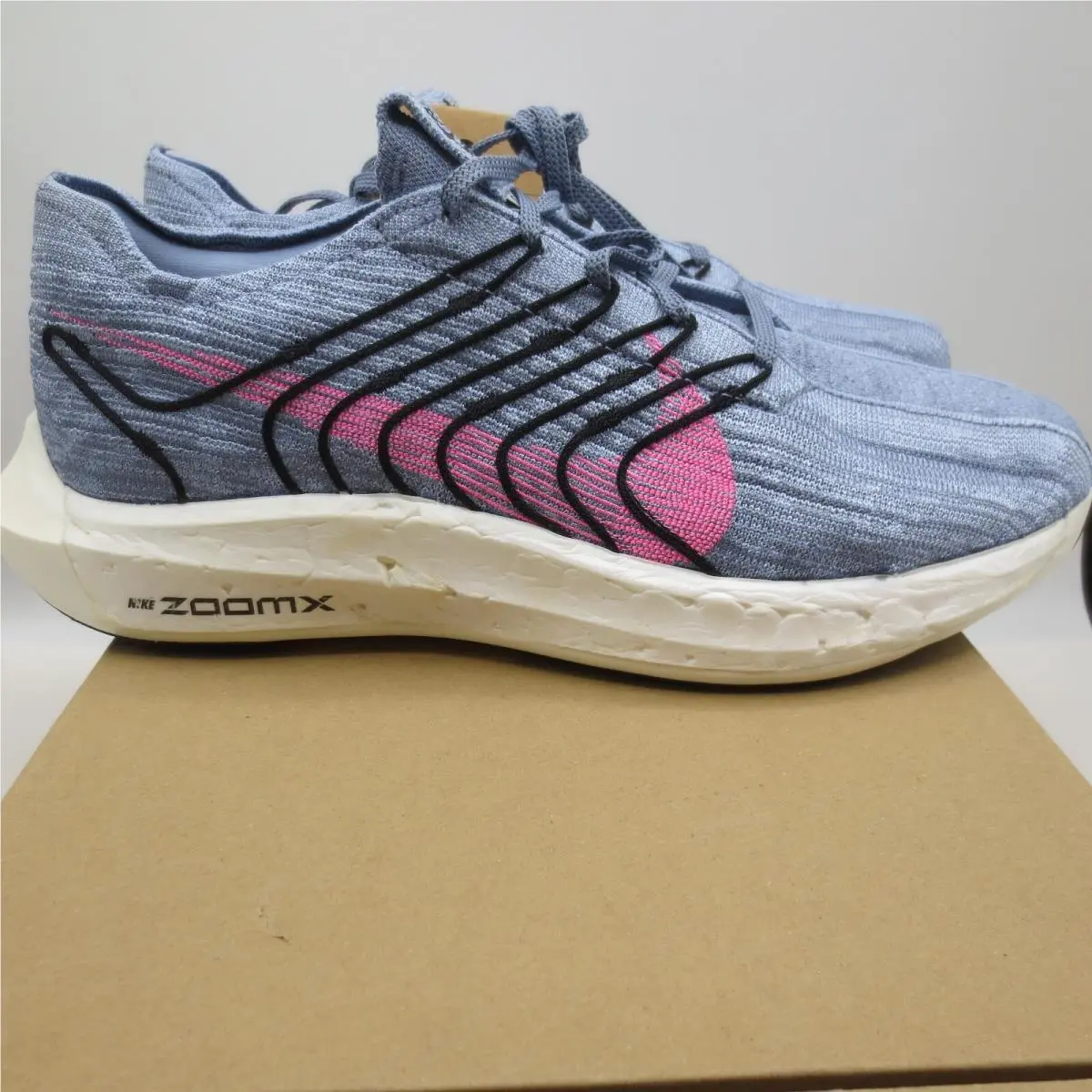 Nike Pegasus Turbo Next Nature Running Shoes Size 11.5 Ashen Slate DM3413-400