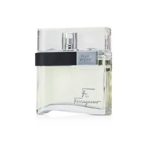 Salvatore Ferragamo F Pour Homme Eau De Toilette