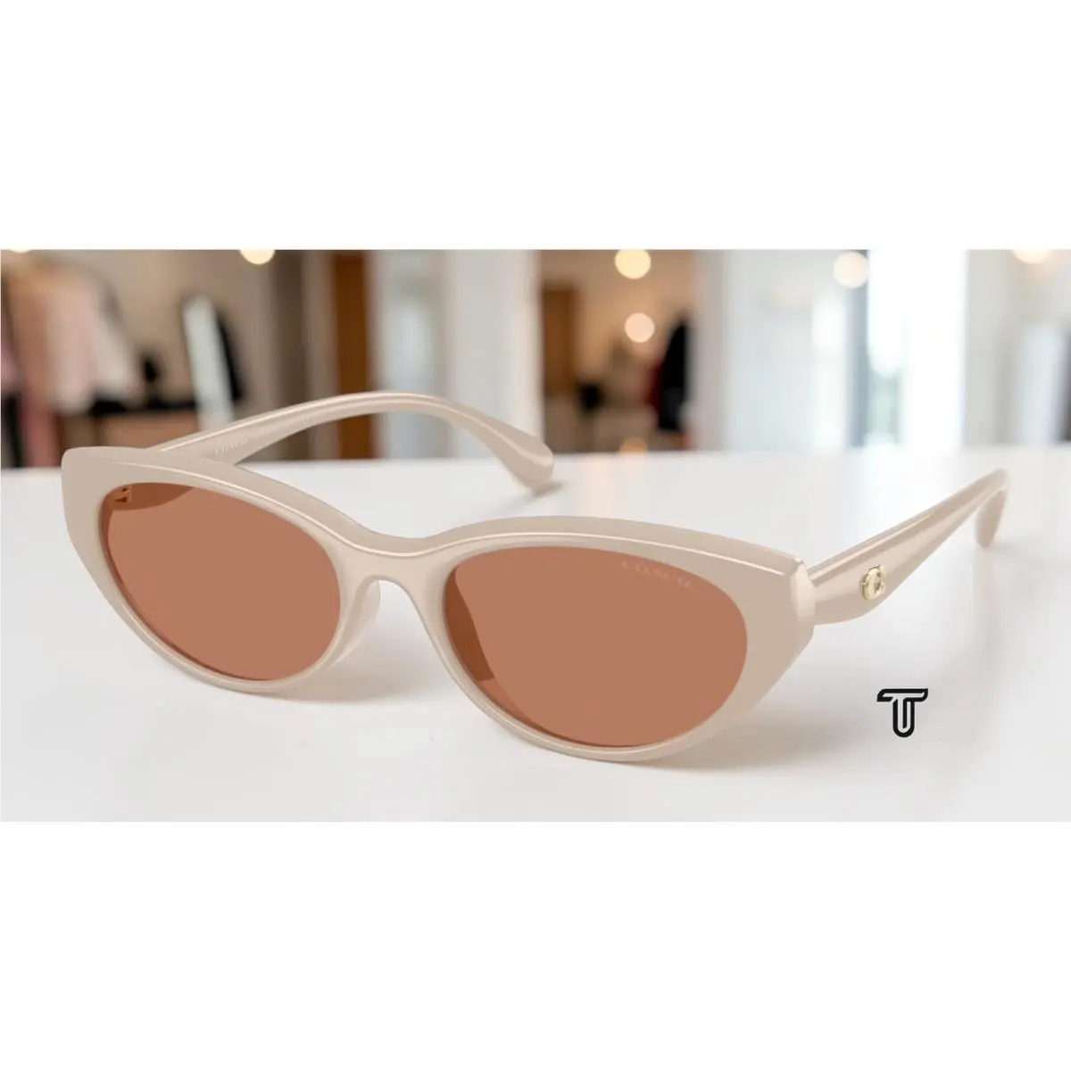 Coach HC8456D 58843 Cdp42 Khaki Solid Brown Solid 55 mm Women`s Sunglasses