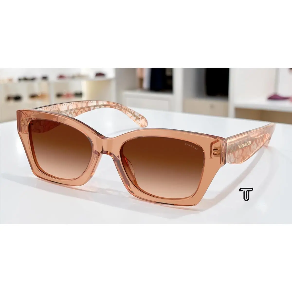 Coach HC8451U 593774 Cdp49 Transparent Brown Gradient 54 mm Women`s Sunglasses