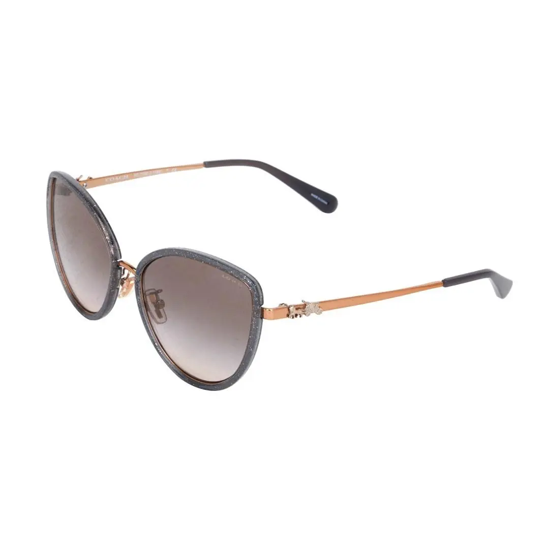 Elegant and Stylish Coach Women`s Sunglasses Black HC7093-93313B 56
