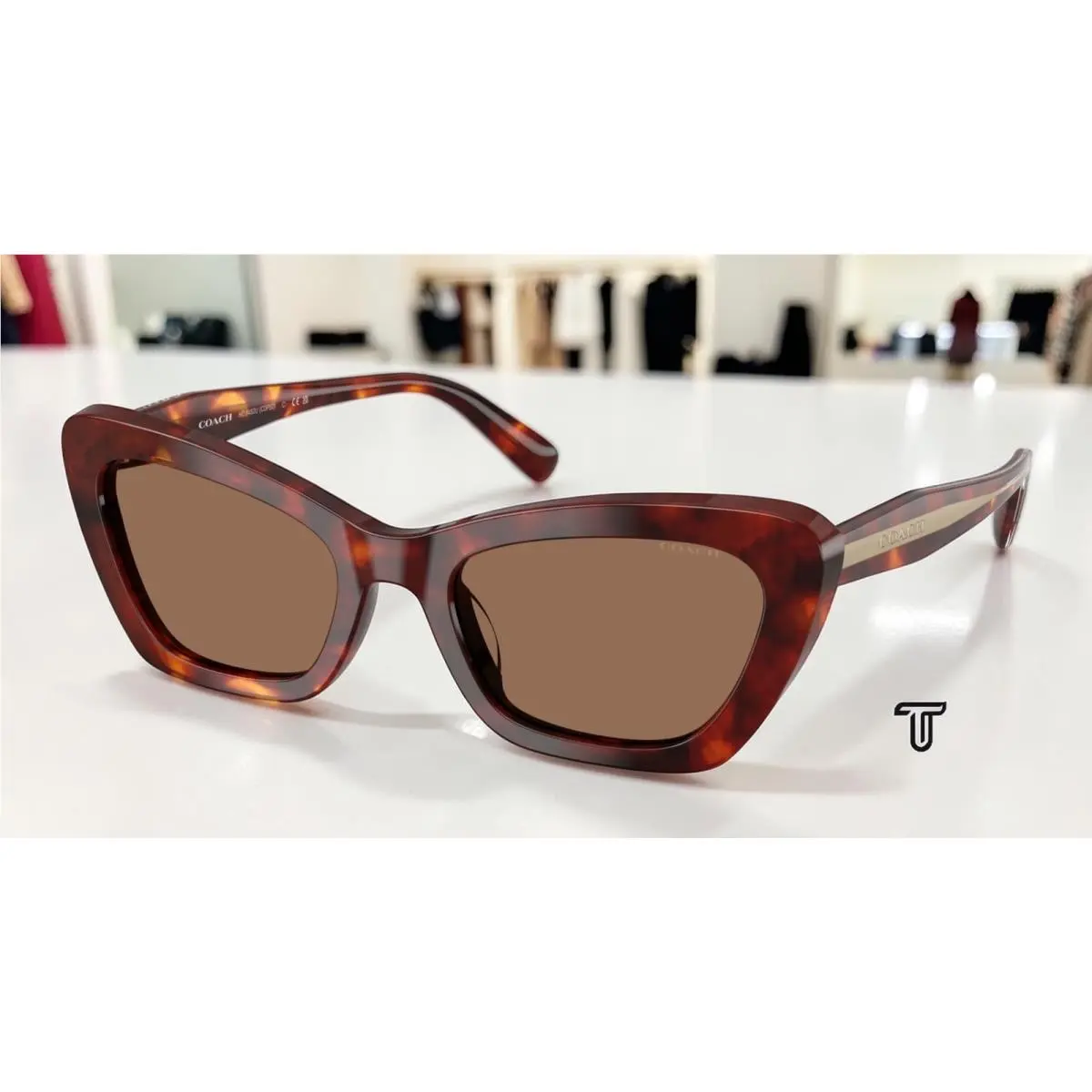 Coach HC8452U 593873 Cdp52 Walnut Tortoise Brown Solid 54 mm Women`s Sunglasses