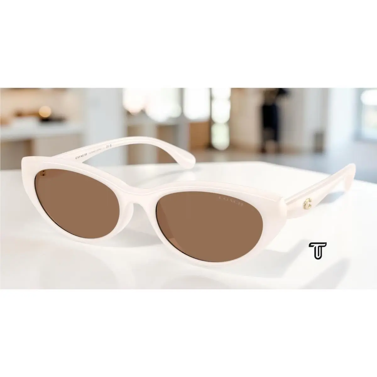 Coach HC8456D 579073 Cdp42 Milky Cloud Brown Solid 55 mm Women`s Sunglasses