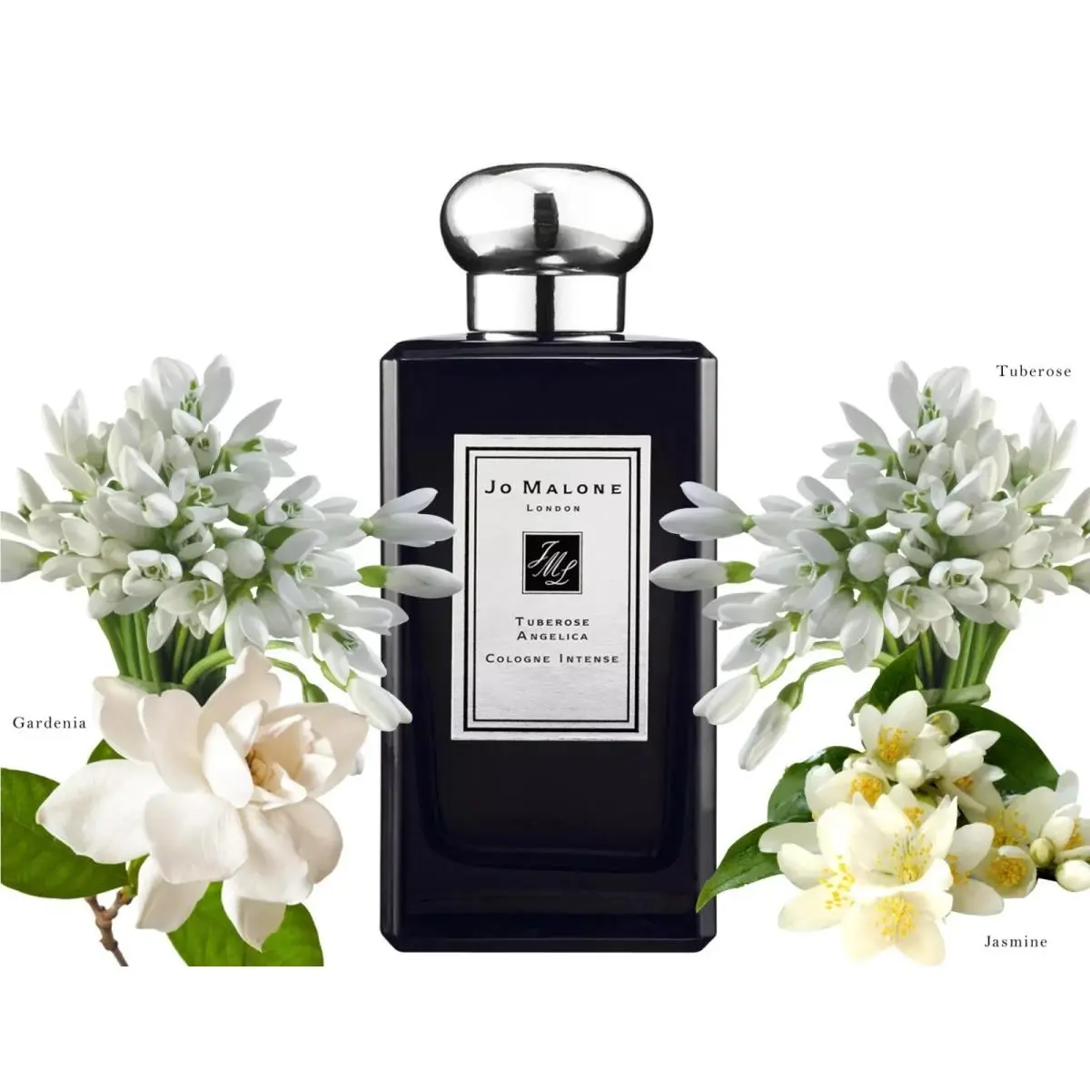 Jo Malone Tuberose Angelica 3.4oz/100ml Women`s Eau de Cologne
