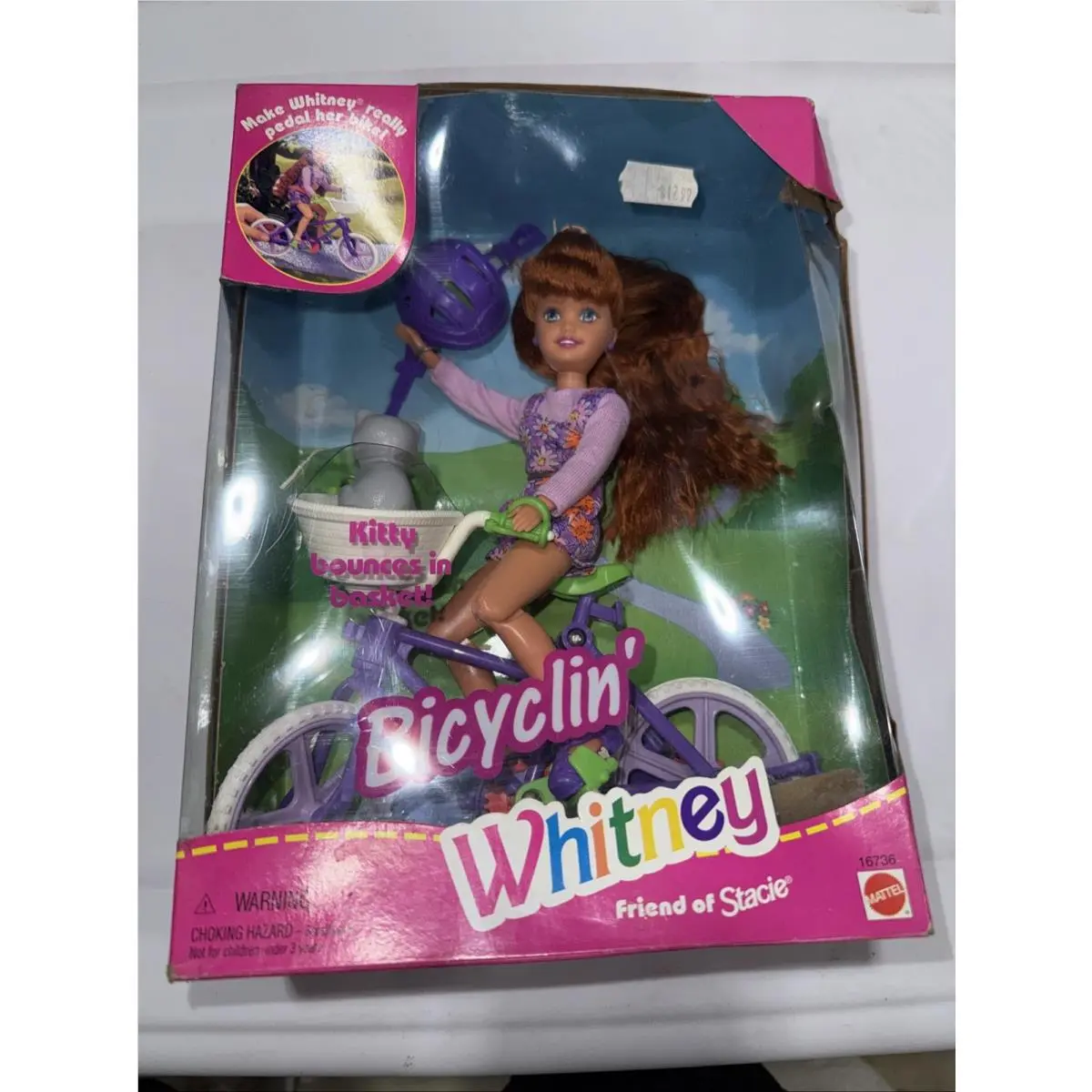 1996 Bicyclin` Whitney Friend of Stacie W-kitty in Basket