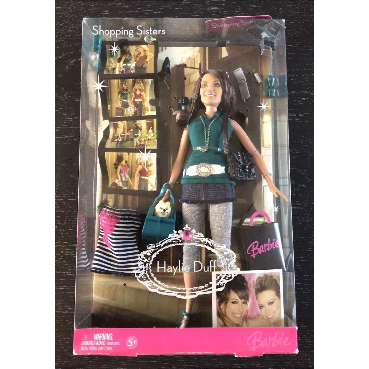 Haylie Duff Shopping Sisters Fashion Doll Barbie Pet Hilary Actress Outfit Box