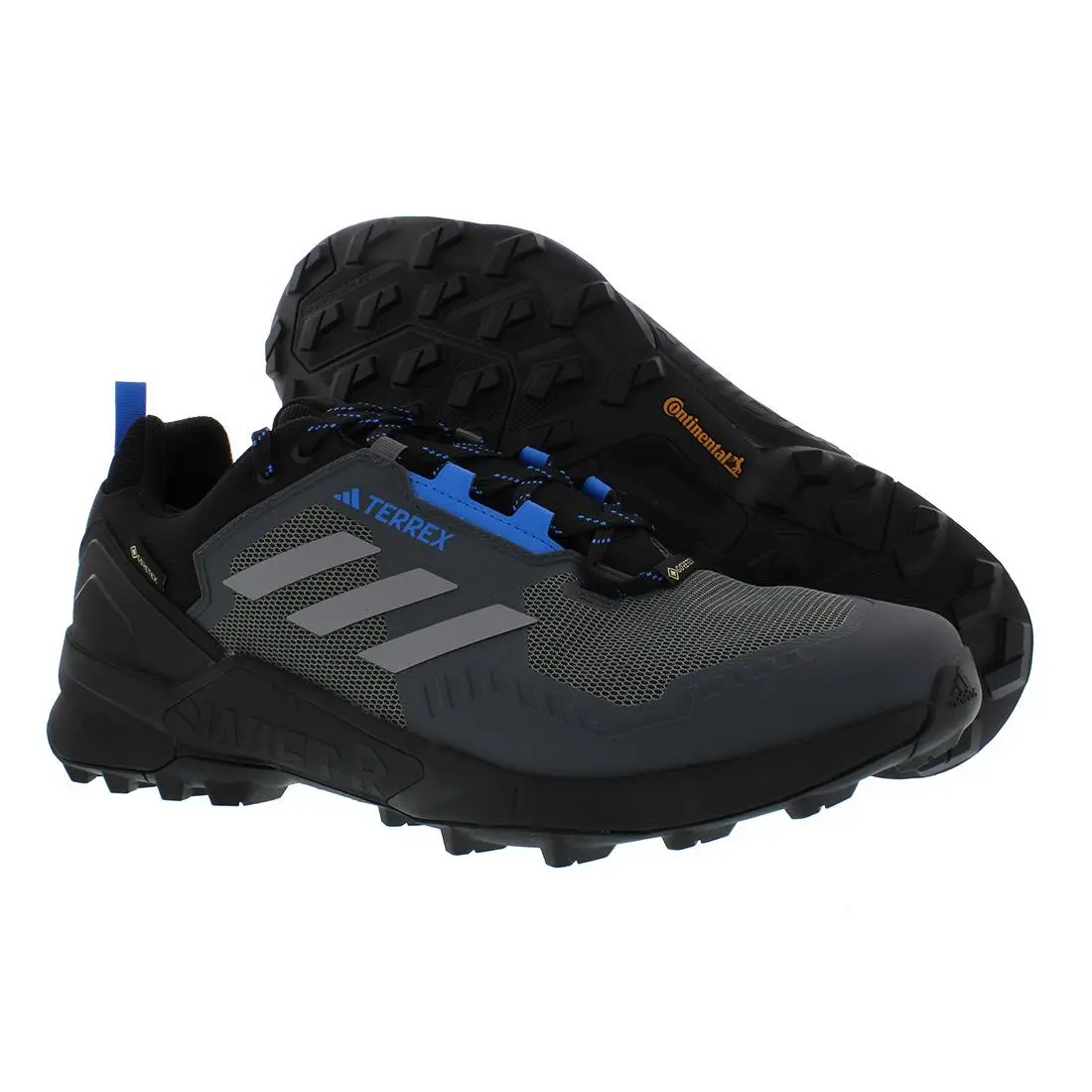 Adidas Terrex Swift R3 Gtx Mens Shoes