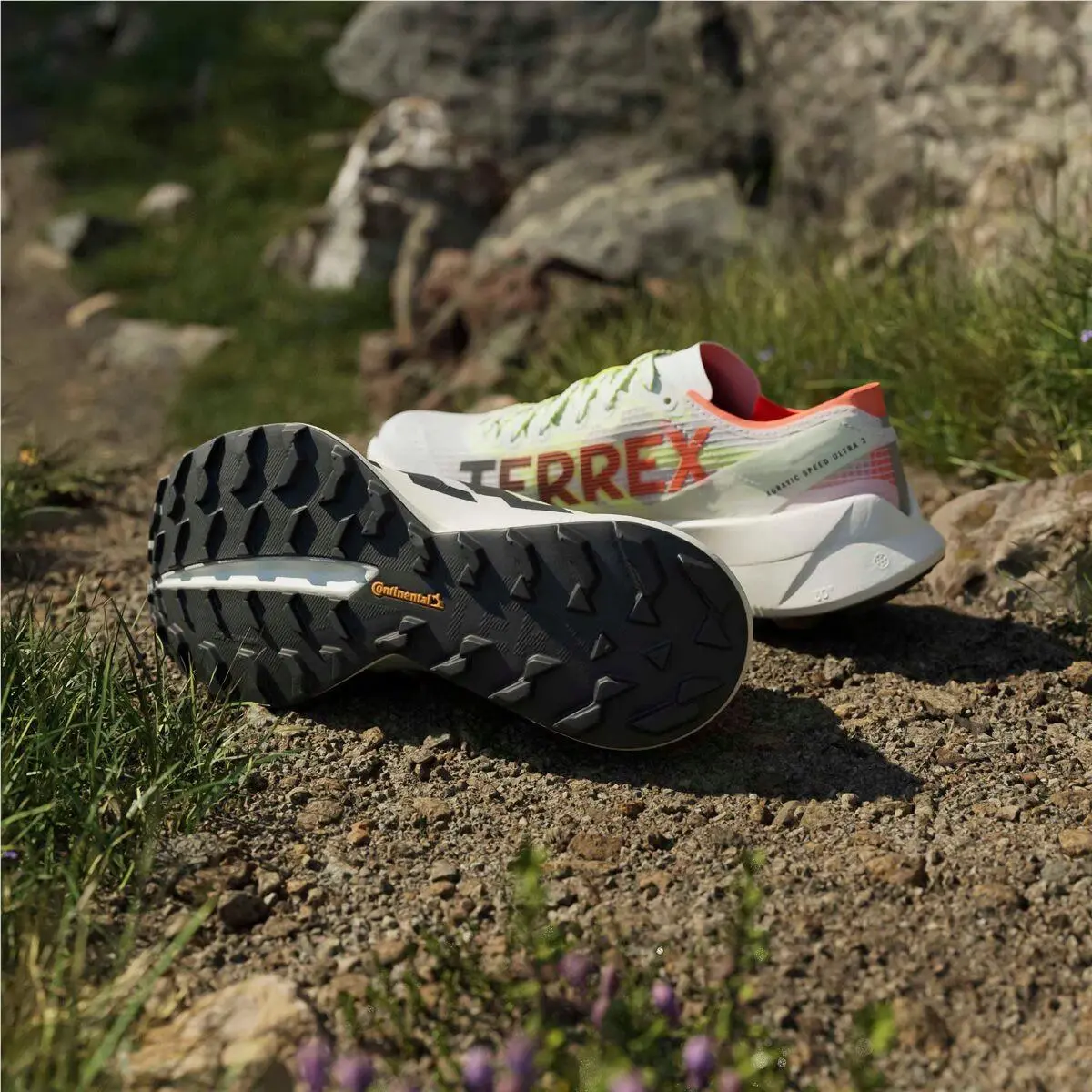 Adidas shoes - Adidas TERREX - TERREX - Ftwr White/Core Black/Reflective Silver 0