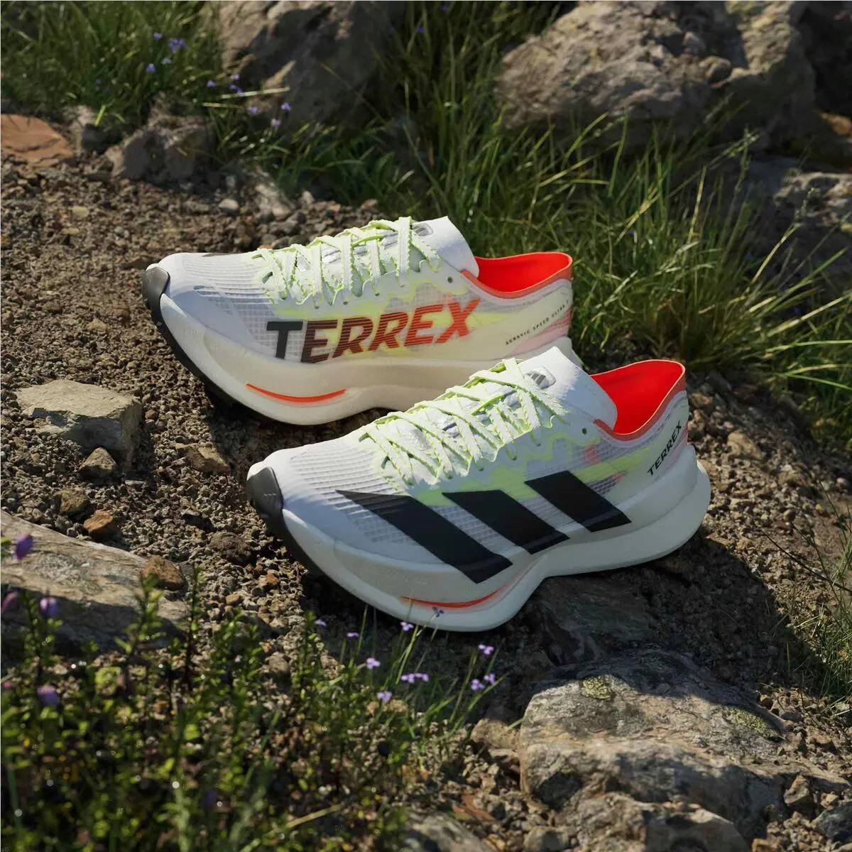 Adidas shoes - Adidas TERREX - TERREX - Ftwr White/Core Black/Reflective Silver 1