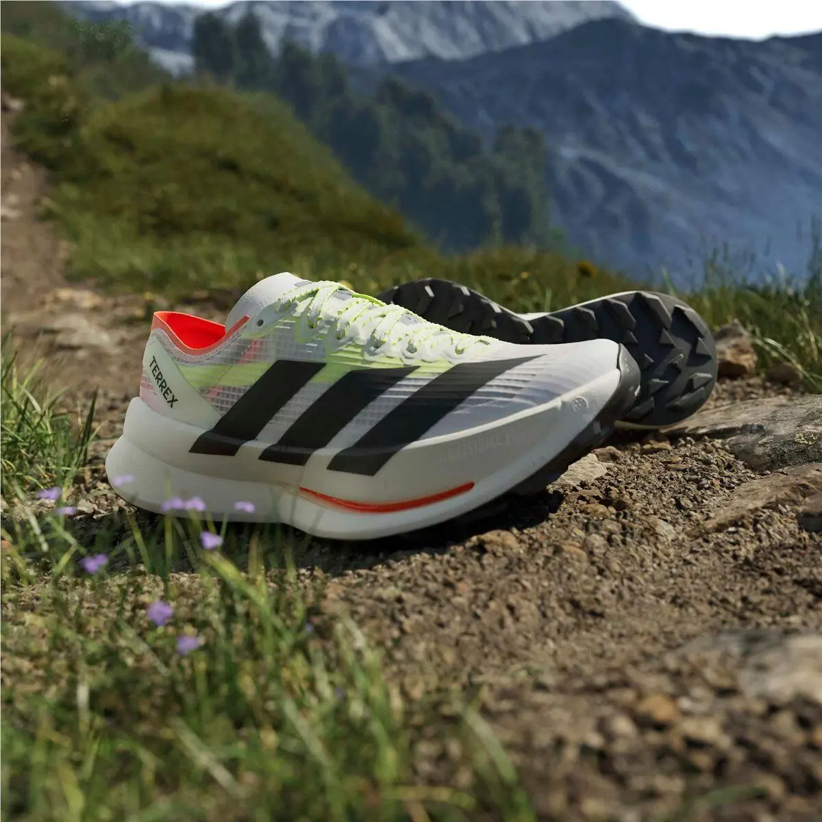 Adidas shoes - Adidas TERREX - TERREX - Ftwr White/Core Black/Reflective Silver 4