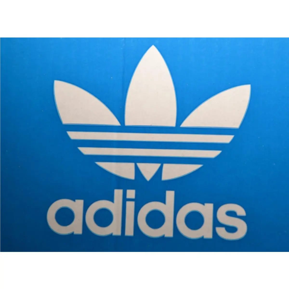 Adidas shoes - Ozelia - Ozelia - White 8