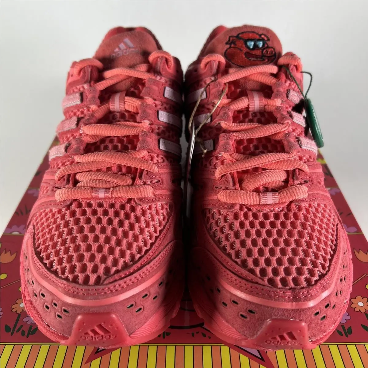 Adidas shoes - adidas Adistar Control 5 - Adistar Control - KJ8363 - Red 1