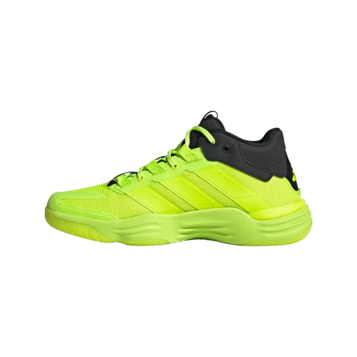 Adidas shoes - Court Stabil Indoor - Court Stabil Indoor - Multicolor (UPC: 197620364343) 0