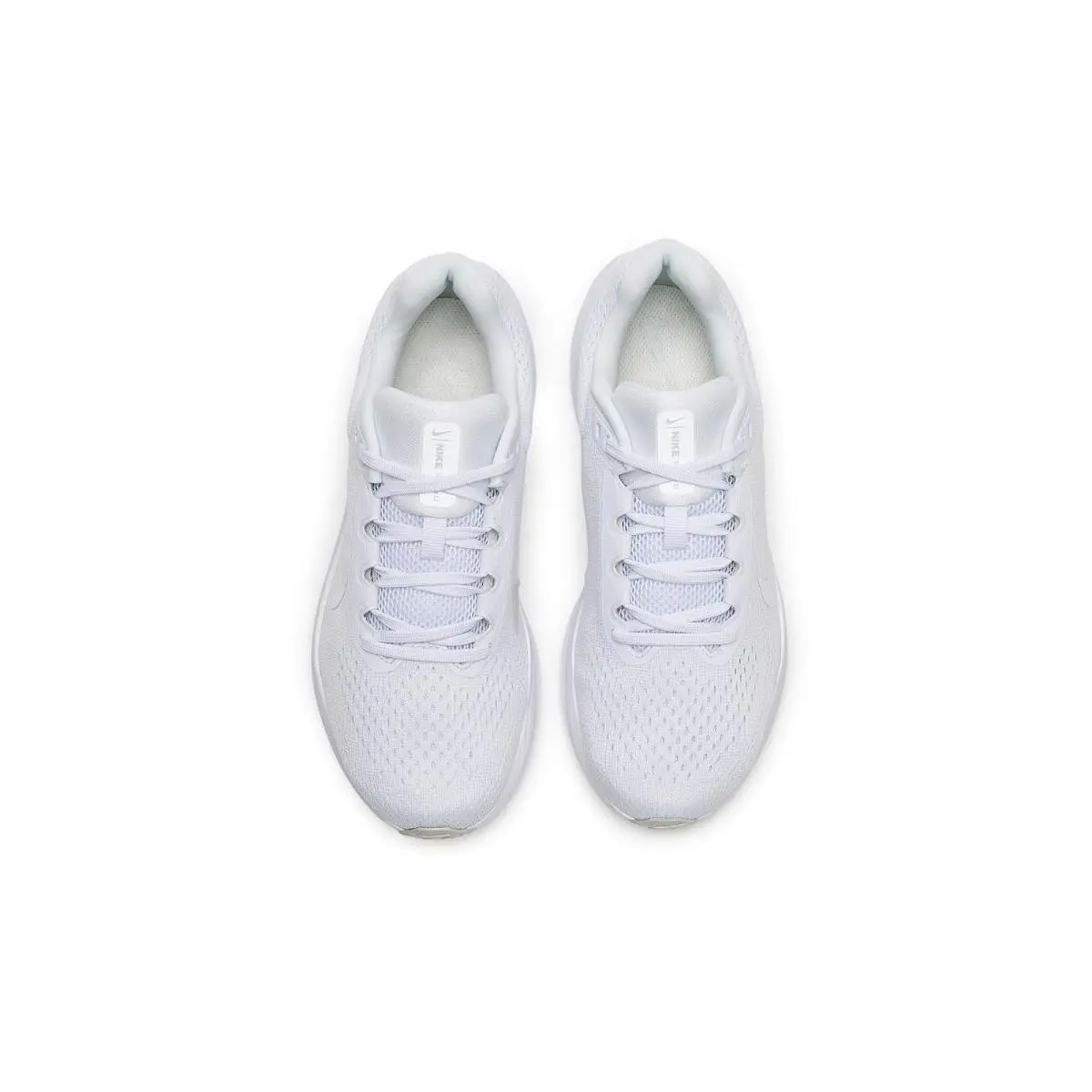 Nike shoes - Amethyst Tint/Metallic Silver/Hydrangeas 77