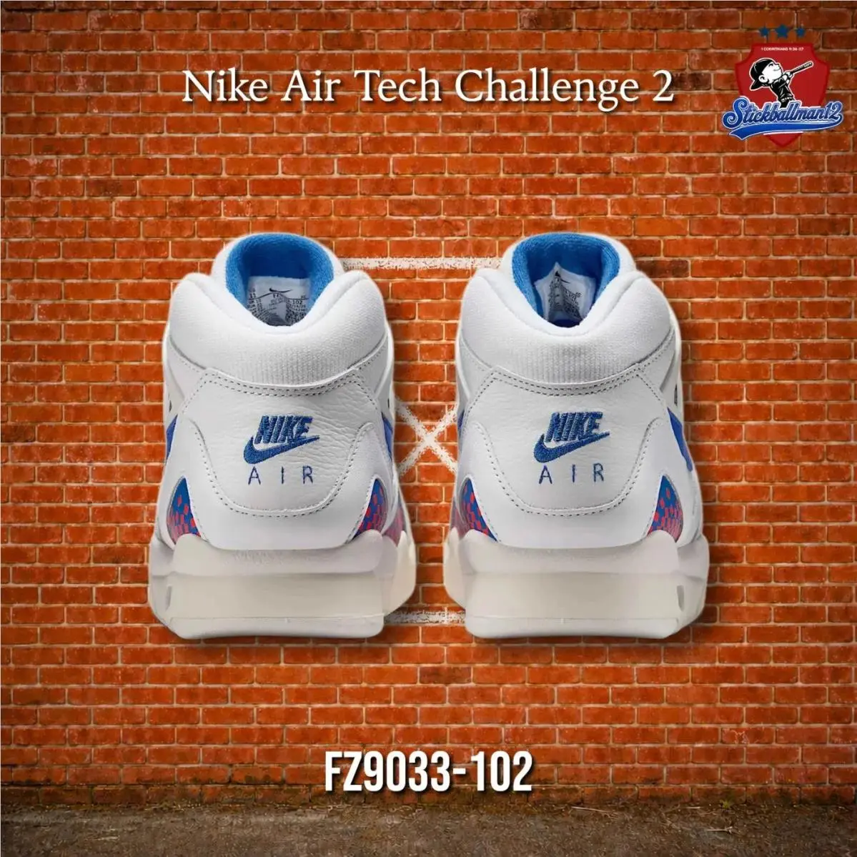 Nike shoes - FZ9033102 - FZ9033-102 - Multicolor 10