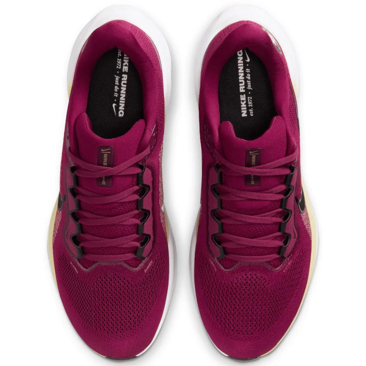 Nike shoes - Nike Air Zoom Pegasus 41 - IB3255-600 - Team Maroon/Team Gold/Black 1