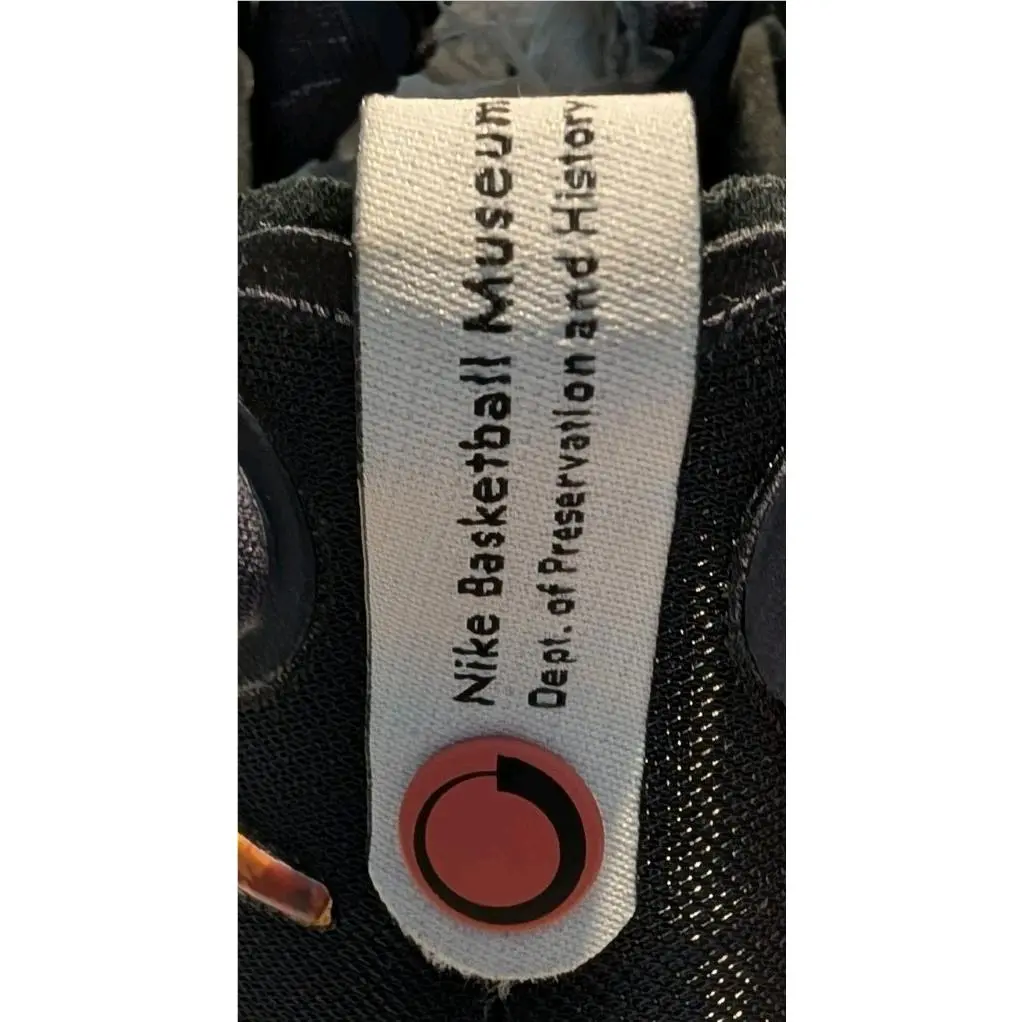 Nike shoes - Nike Air Zoom GT Run - Gridiron/Sundial-Amber 2