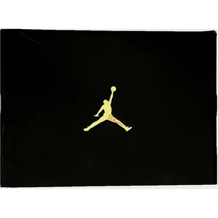 Nike shoes - Jordan CP3.XI - AA1272-014 - Gray, Manufacturer: Light Smoke Grey/Metallic Silver (UPC: 826218769504) 13