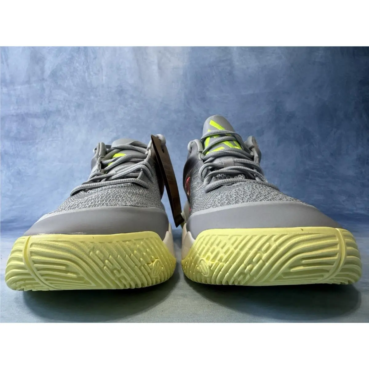 Nike shoes - Nike Giannis Immortality - Giannis Immortality - FQ3680-009 - Wolf Grey, Metallic Silver 2