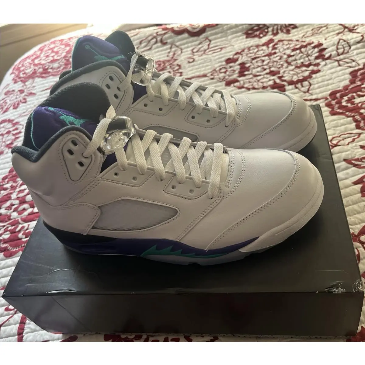 2025 Nike Air Jordan 5 Retro “grape” Men’s Size 9.5 /deadstock