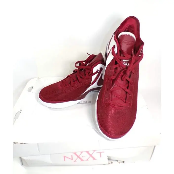 Nike Zoom Lebron Nxxt Gen TB Fsu Seminoles Red-white FN7092-601 Size 17