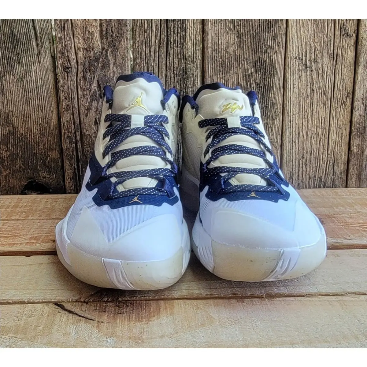 Nike shoes - Jordan Zion 1 - Zion - DA3130-241 - White (UPC: 195866487611) 1