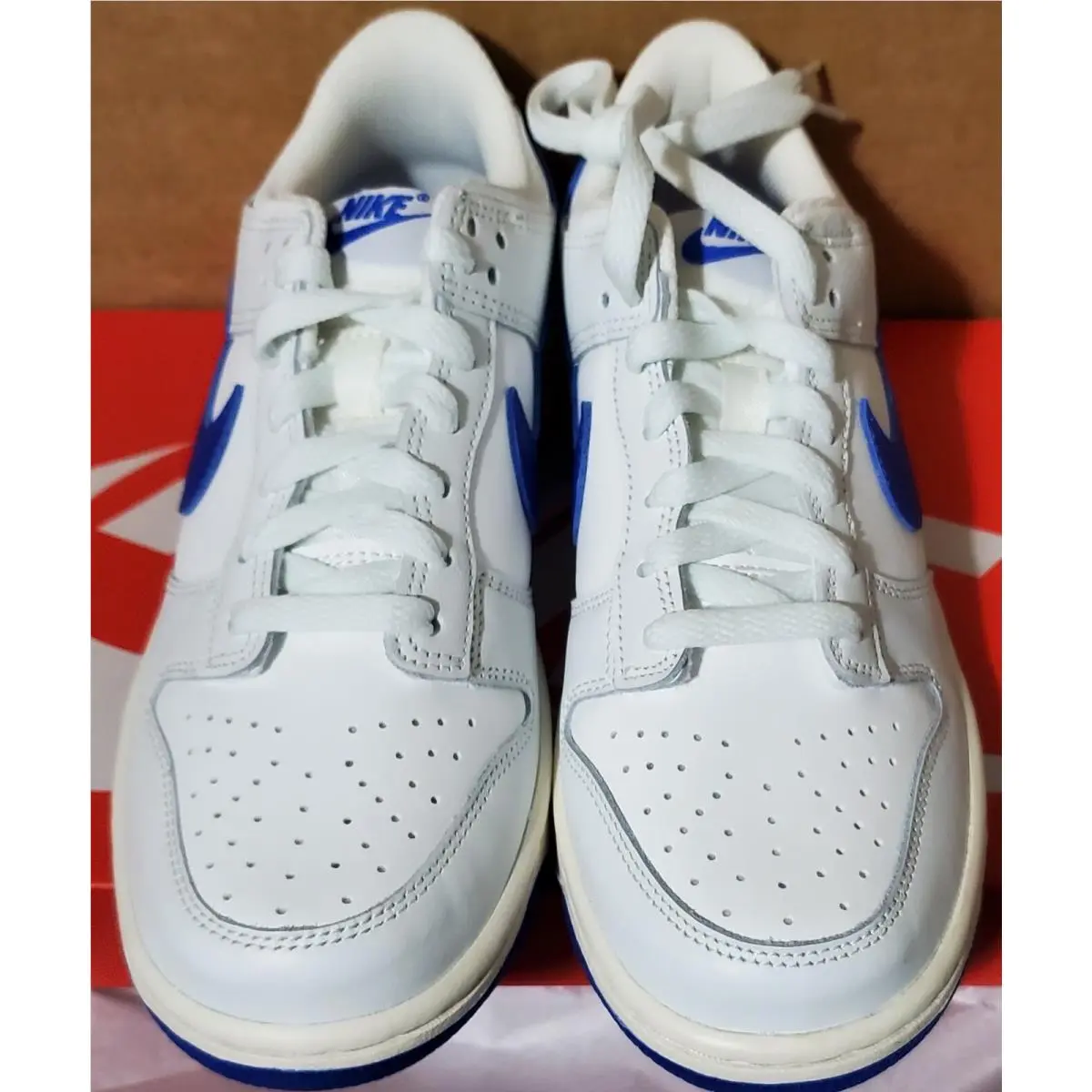 Nike shoes - Nike Dunk Low - Dunk Low - DH9765-105 - Blue 1
