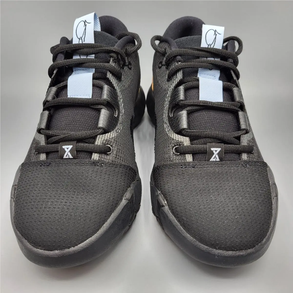 Nike shoes - Nike PG 6 - DC1974-005 - Black 1