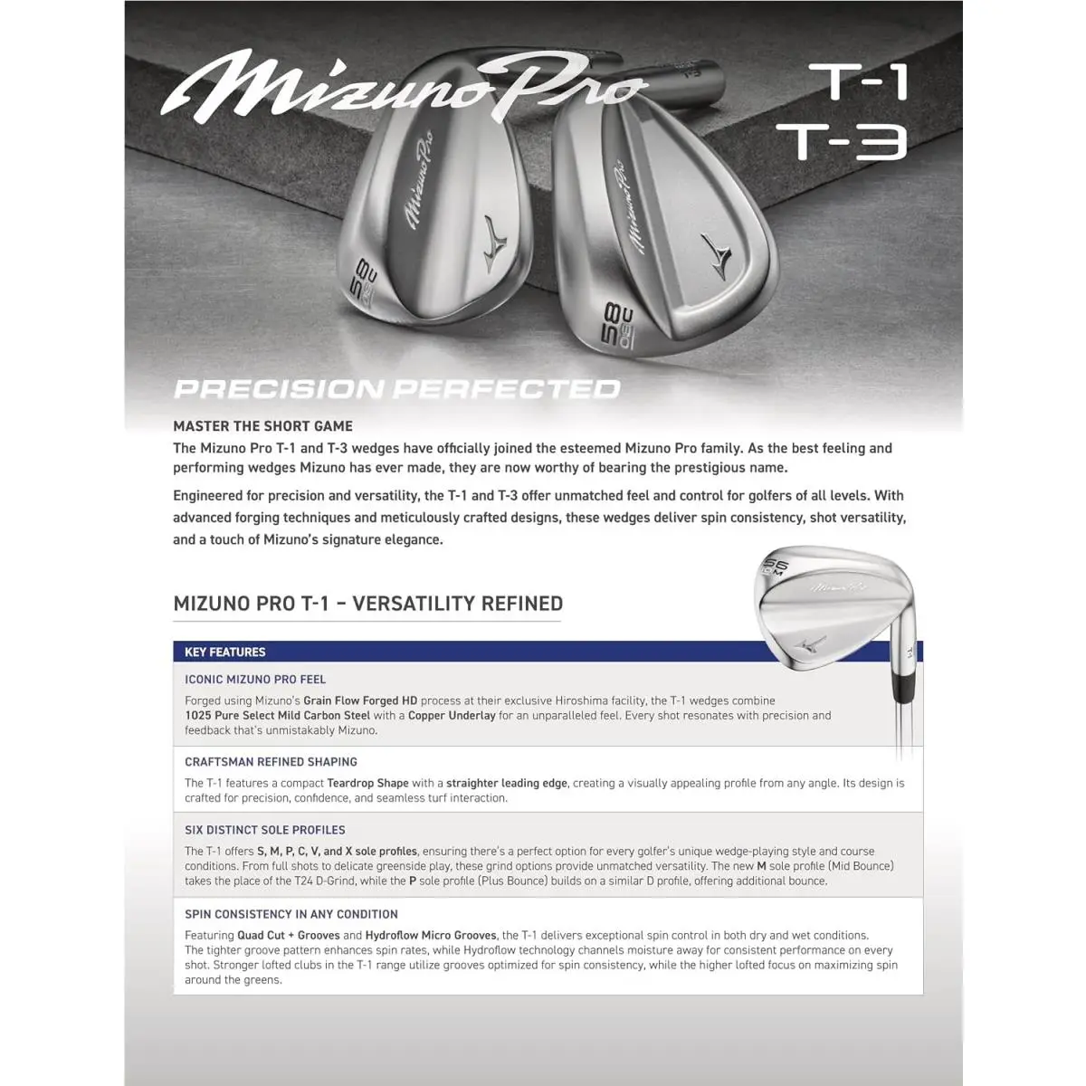Mizuno  - BLUE ION 1